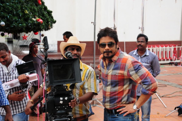 Nagarjuna's Greeku Veerudu Movie Stills  