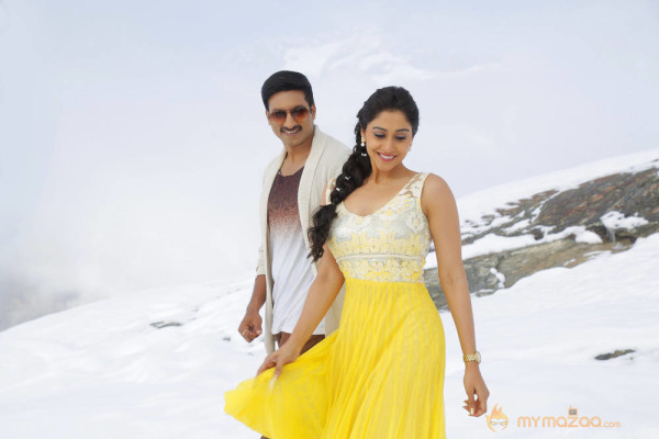 New Telugu Film Soukyam Telugu Movie Stills