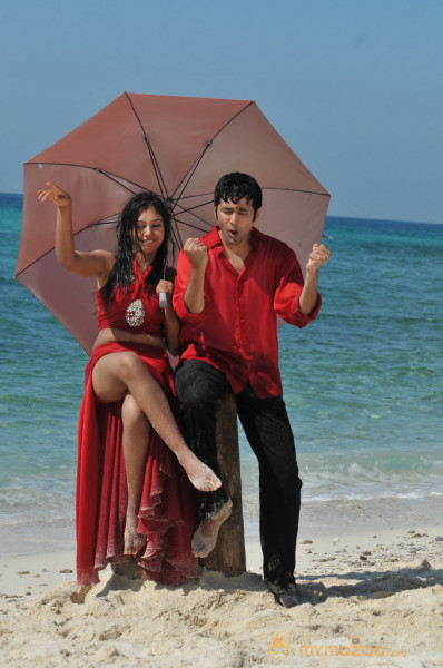 Pelli Pusthakam Movie Stills 