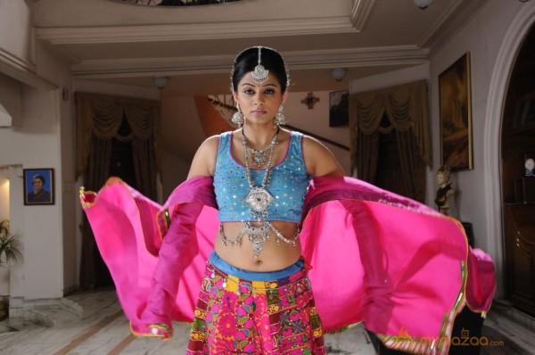 Priyamani In Chandi Movie Stills 