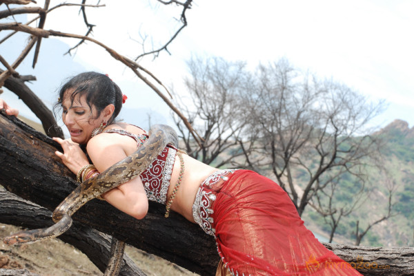 Rajakota Rahasyam Hot Movie Stills  