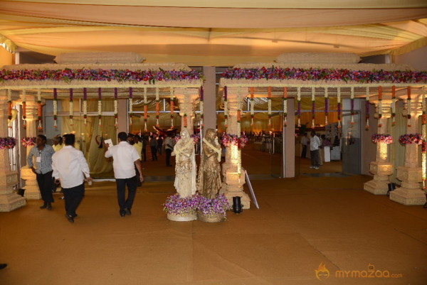 Balakrishna's Daughter Tejaswini Marriage Mandap Sets Photos 