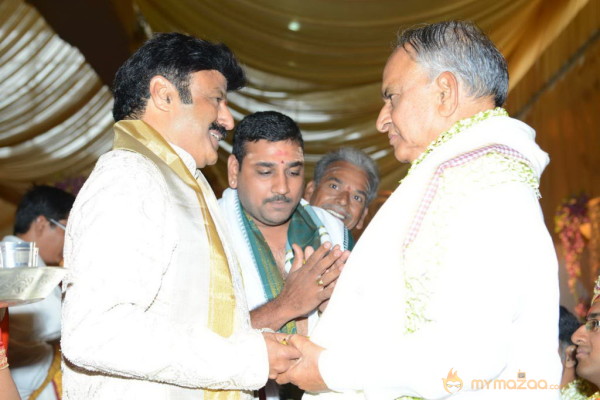 Balakrishna's Daughter Tejaswini Wedding Photos Gallery 