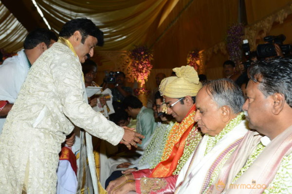 Balakrishna's Daughter Tejaswini Wedding Photos Gallery 