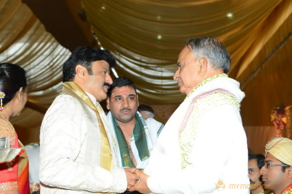 Balakrishna's Daughter Tejaswini Wedding Photos Gallery 