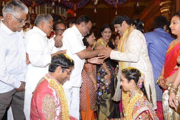 Balakrishna's Daughter Tejaswini Weds Sri Bharat Wedding Photos 