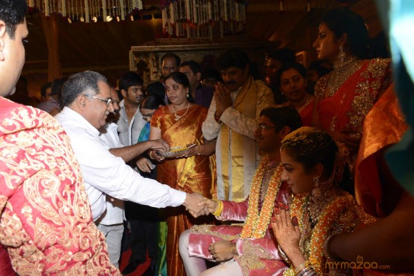 Balakrishna's Daughter Tejaswini Weds Sri Bharat Wedding Photos 