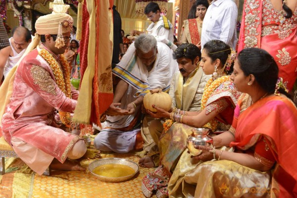 Balakrishna's Daughter Tejaswini Weds Sri Bharat Wedding Photos 