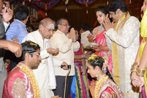 Balakrishna's Daughter Tejaswini Weds Sri Bharat Wedding Photos 