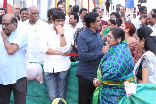 Celebrities pay homage to ANR Photos - 5 