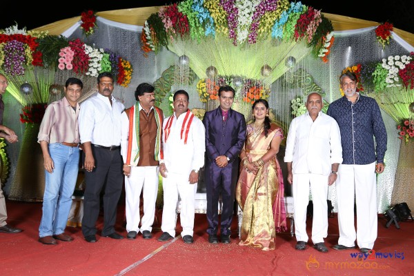 Prathani Rama Krishna Goud Son's Wedding Reception Photos 