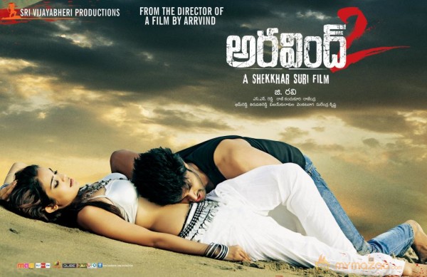 Aravind 2 Movie Hot Wallpapers  