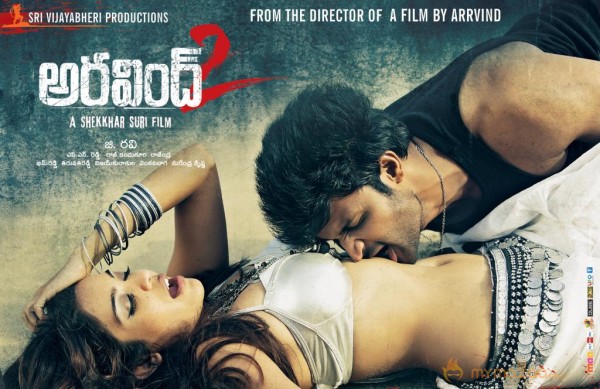 Aravind 2 Movie Hot Wallpapers  