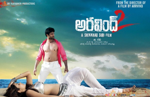 Aravind 2 Movie Hot Wallpapers  