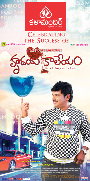 Hrudaya Kaleyam Movie Success Posters 