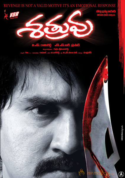 Satruvu Movie Wallpapers 