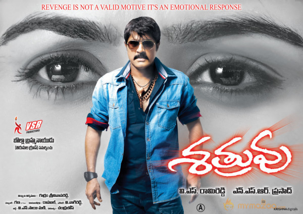 Satruvu Movie Wallpapers 