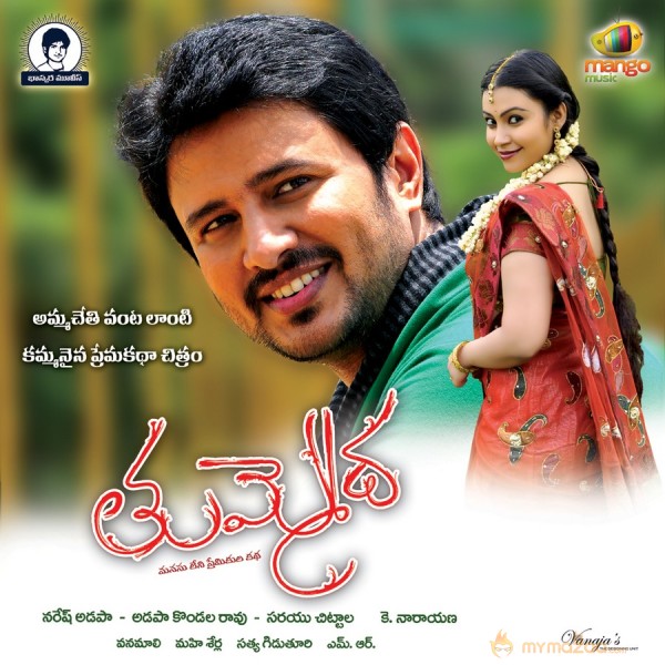 Tummeda Movie Wallpapers 