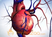 Researchers grow miniature beating hearts to study disease