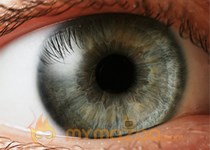 Scientists discover how two gene mutations cause melanoma of the eye