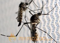 World Bank offers $150M to countries affected by Zika