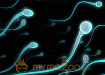 Men with sperm defects may have higher risk of dying