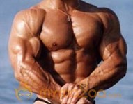 Muscle Building Tips