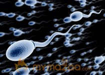 Older guys' sperm really is worse, study says