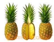 Pineapples: The Healing Fruit of the Tropics (with Pina-Banana Orange Smoothie recipe)