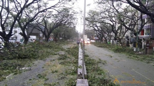 Cyclone Vardah Hits Chennai Photos