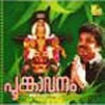 Poongavanam