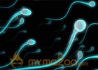 9 things you didn't know about sperm