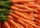 Carrot An Vegitable for Good Health filled with Bitamins