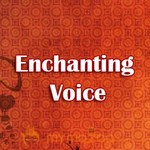 Enchanting Voice