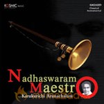 Nadhaswaram From Maestros