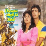 Deewana Mujh Sa Nahi 1990