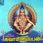 Swamy Iyyappan