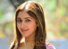 Ajay Devgn is actor's director: Sayyeshaa