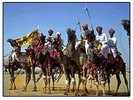 Bikaner camel race fascinates tourists 