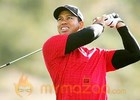 Australia keen to have Tiger Woods back 