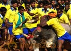 Jallikattu gets Centre nod: Bull taming is cruelty at its best, govt is using issue for electoral win in TN