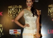 Bolly Celebs at the Life OK Now Awards 2014