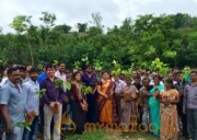 Mega Star Chiranjeevi and Nagarjuna Participated In great initiative for Haritha Haram