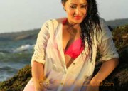  Nikesha Patel 