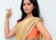  Sruthi Mol Saree Stills 