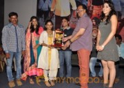 Chandi Movie Platinum Disk Function Photos