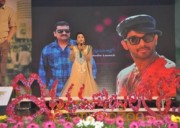 Iddarammayilatho Audio Launch Photos