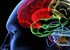 Does the brain's cerebellum make humans special?