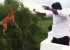 Video Virally Spreading in internet Man throws dog off roof in Chennai