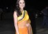 71st-all-india-achievers-awards-21_571dd4d19cc39